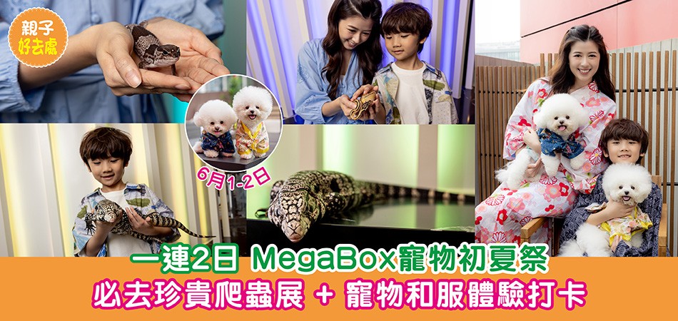 親子好去處 | MegaBox寵物初夏祭一連2日 必去珍貴爬蟲展+寵物和服體驗打卡